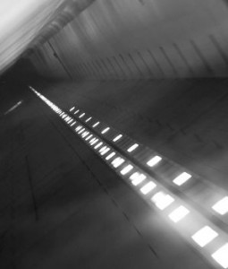 PCR Gel